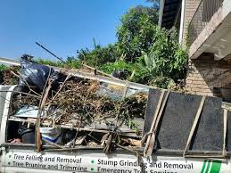Best Basement Cleanout  in Brighton, IL