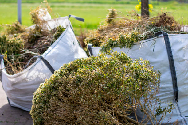 Best Residential Junk Removal  in Brighton, IL